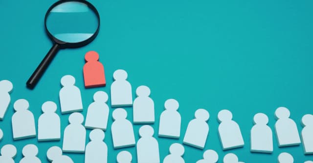 Our talent vetting process